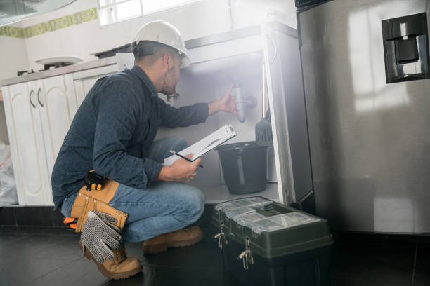 Best Affordable Plumbing Services  in Posen, IL
