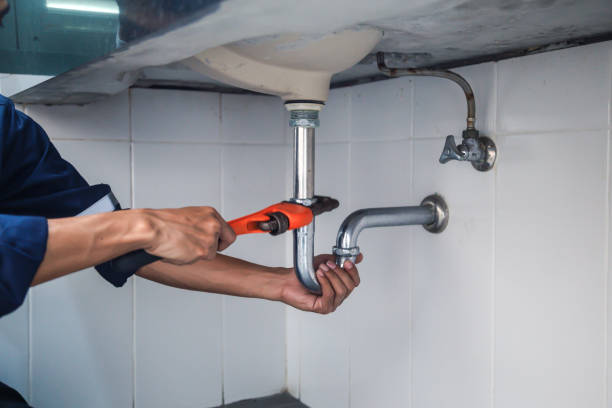 Best Residential Plumbing Services  in Posen, IL